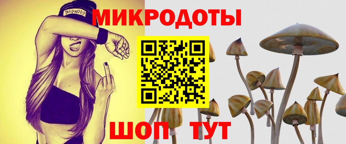 Галлюциногенные грибы Psilocybine cubensis Мичуринск