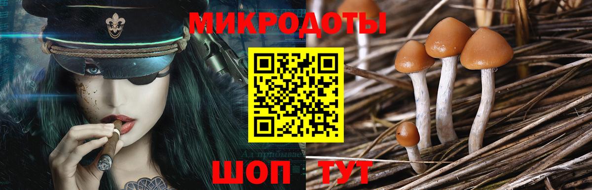 Галлюциногенные грибы MAGIC MUSHROOMS  Галлюциногенные грибы прущие грибы  продажа наркотиков  Вход с VPN  Мичуринск 
